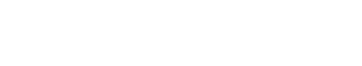 Speldosa Interactive